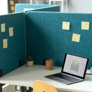 Work Station Partition